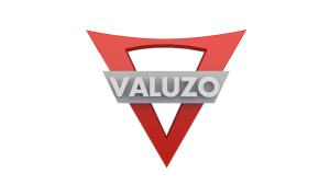 valuzo_logo_(96dpi) białe